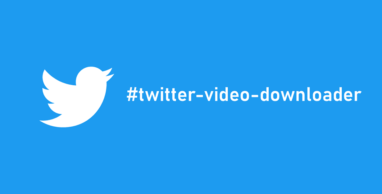 X/Twitter video downloader tool